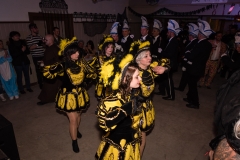 20180210-Fasching Schalkau-DSC06386