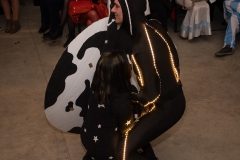20180210-Fasching Schalkau-DSC06473